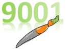 Revision ISO 9001
